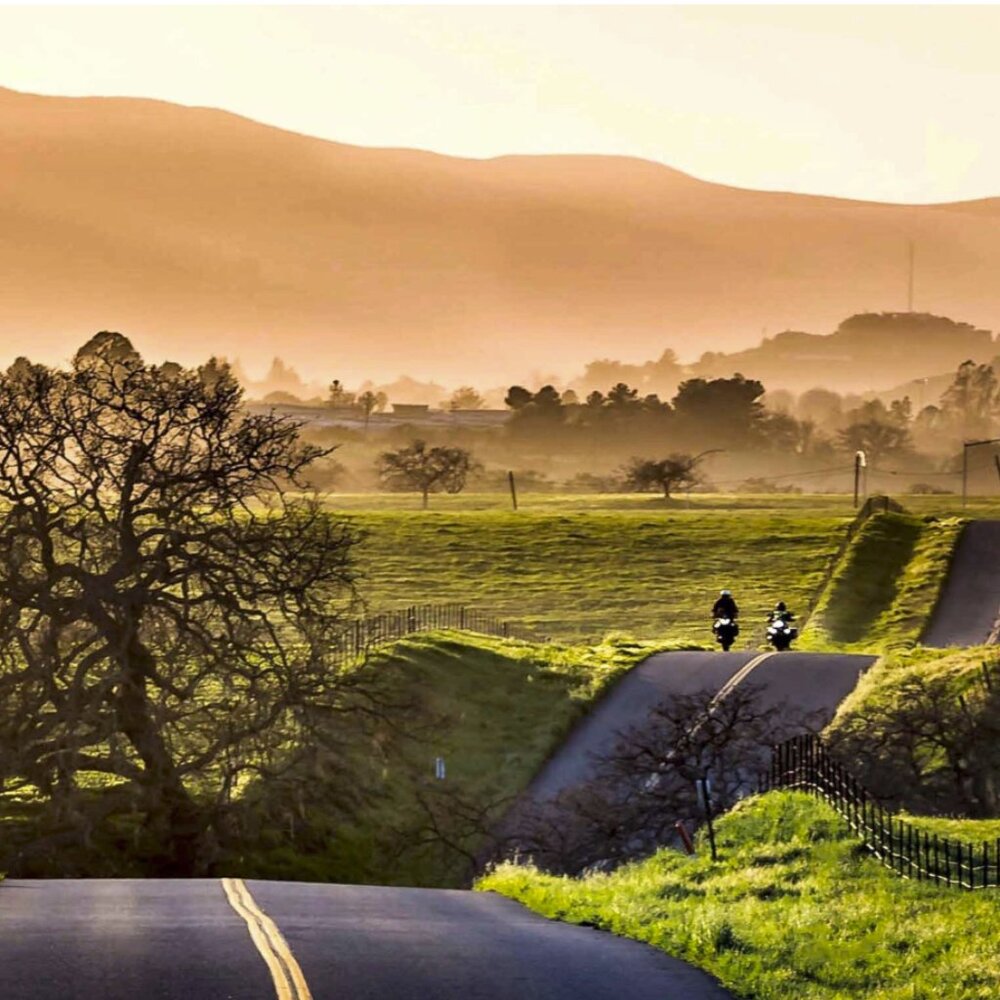 Meet your Posher, Nadia